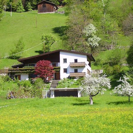 Sonnenhaus Sander شرنز المظهر الخارجي الصورة